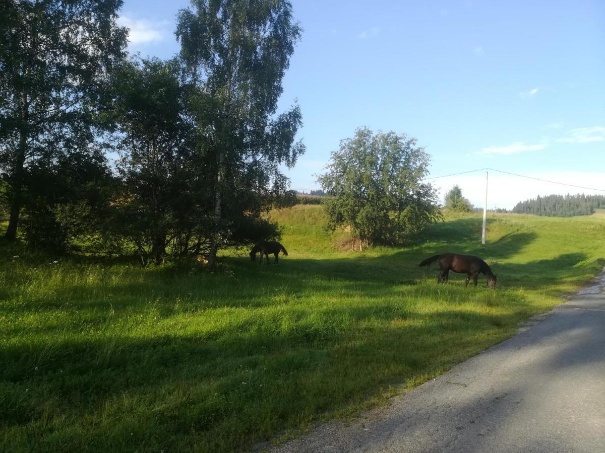Pokoje Goscinne Duda Białka Tatrzańska Exteriér fotografie